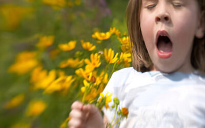 Bella la primavera però…